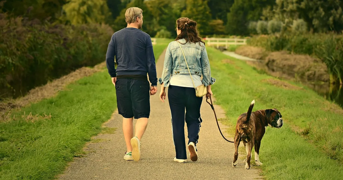 Dog Walker Pet Sitter Insurance Cost in 2026: What You'll Really Pay